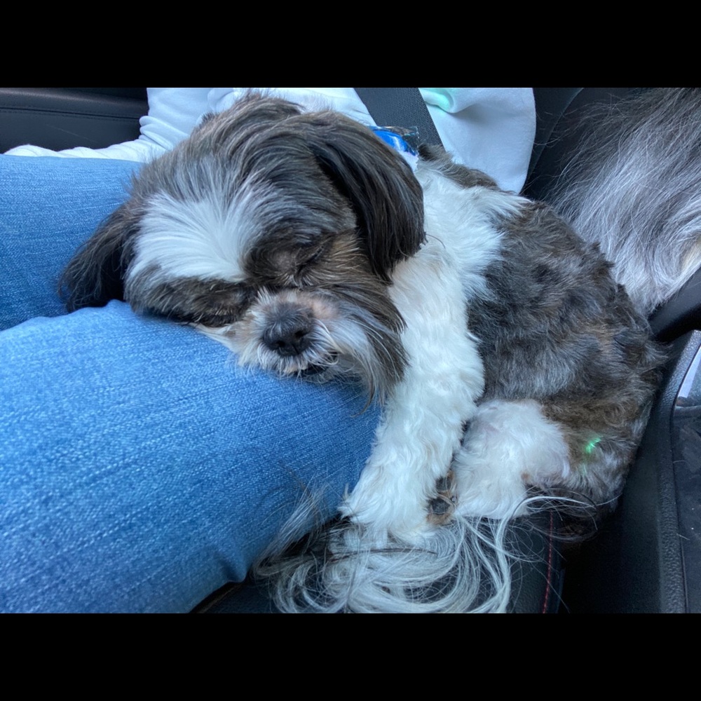 Meet your Posher, Kim